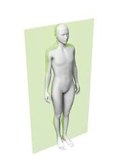 <p>A body plane that divides the body into anterior and posterior parts.</p>