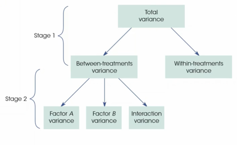<ul><li><p>1: separate variances from between and within treatments</p></li><li><p>2: separate the variances from between into three separate components to then calculate each F ratio</p></li></ul><p></p>