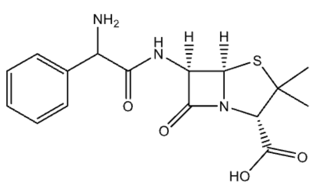 <p>name</p>