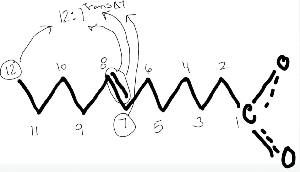 <p>12:1 Trans delta 7</p><p>*Delta nomenclature = systematic nomenclature</p><p>Systematic nomenclature is <strong><mark data-color="rgba(0, 0, 0, 0)" style="background-color: rgba(0, 0, 0, 0); color: inherit;">a standardized, rule-based method for naming chemical substances, ensuring each compound has a unique and unambiguous name derived from its structure</mark></strong><span>.</span></p>