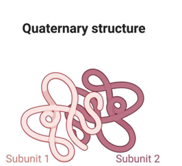<p>most; proteins; polysaccharides; proteins</p>