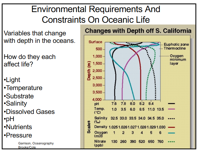 <ol><li><p>light → light penetration effects the organisms living in the photic zone and creates feedback from biological growth; light also effects sediments and nutrification. too much light creates a negative feedback loop because too many phytoplankton limit light availability at depth (too much light → UV inhibition and harm)</p></li><li><p>nutrients → nitrogen, phosphorus, and silicon (Si required by diatoms and radiolarians and Ca required for calcifying organisms)</p></li><li><p>temperature → direct: metabolic rate, survival/reproduction of temperature-sensitive organisms, viscosity/motion in water. indirect: water column mixing, nutrient and food availability</p></li><li><p>dissolved O<sub>2 </sub>→ required for all multicellular animal life; cellular respiration</p></li><li><p>substrate effects → habitat complexity/structure and surfaces for food accumulation </p></li><li><p>pressure → hydrostatic pressure increases 1 atmosphere every ~10m depth. dissolved substance solubility (generally increases with pressure) and buoyancy (gas bladders/swim bladders in marine organisms)</p></li></ol><p></p>