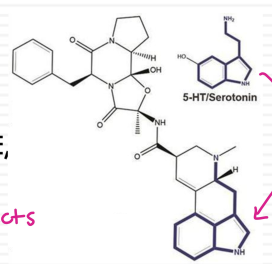 <p>what drug is this?</p>