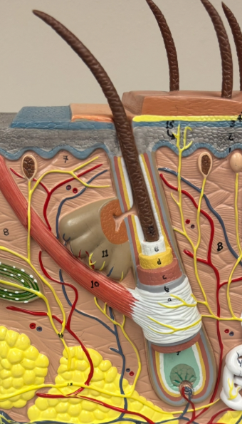 <p>What is #9 a?</p>
