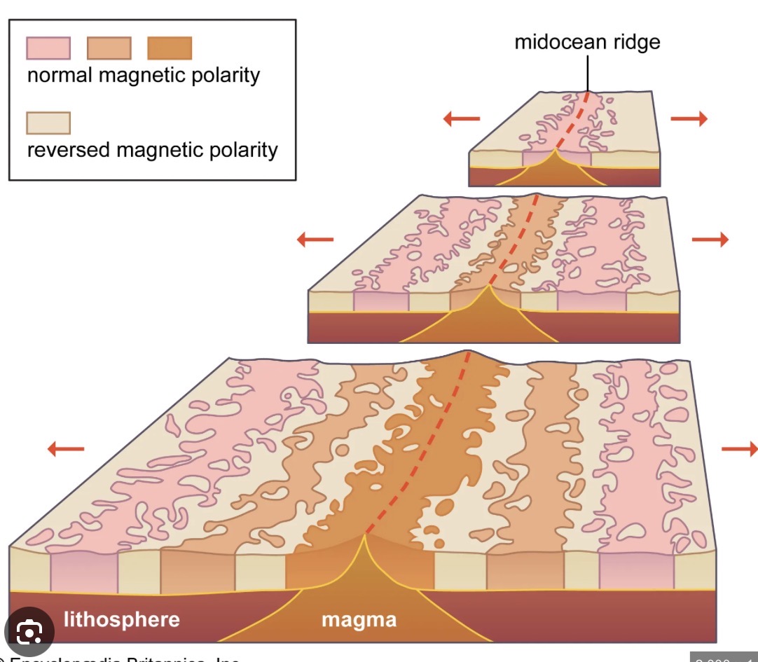 <p>Alternating "stripes" of high and low magnetic intensity on the seafloor that represent periods of normal vs. reversed polarity.</p>