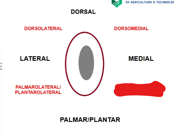 <p>what is it</p>