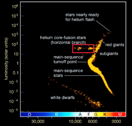 <p><span style="color: yellow;">H-burning adds inert helium to core</span></p><ul><li><p>compress and heat the core</p></li><li><p>eventually reach enough temp for helium fusion</p><ul><li><p>done in few minutes</p></li></ul></li><li><p>expands the core, h-burning slows down</p></li><li><p>star shrinks and settles into new equilibrium — horizontal branch</p><ul><li><p>powered by helium fusion and hydrogen shell burning</p></li></ul></li></ul><p></p>