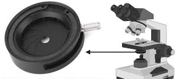 <p><mark data-color="#ffffff" style="background-color: rgb(255, 255, 255); color: inherit;">This part of the bright field microscope is located within the condenser which regulates the amount of light that reaches the slide; can either be controlled by turning a knob or a lever</mark></p>