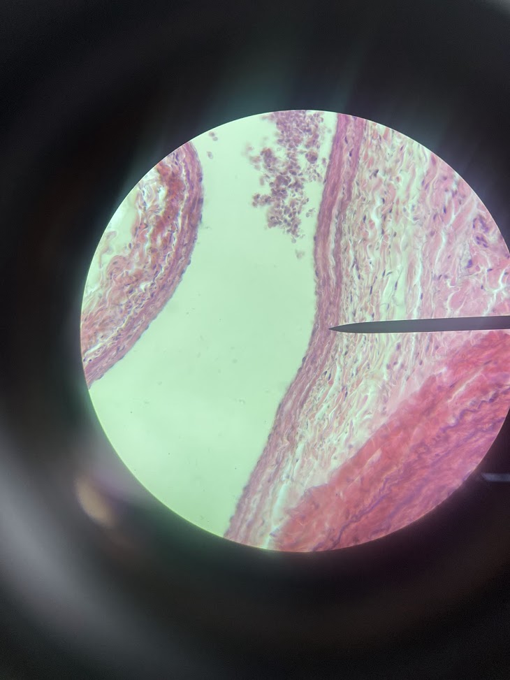 <p>structure name + layer name</p>