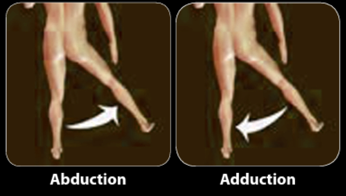 <ul><li><p>abduction - movement away from midline</p></li><li><p>adduction - movement towards the midline</p></li></ul><p></p>
