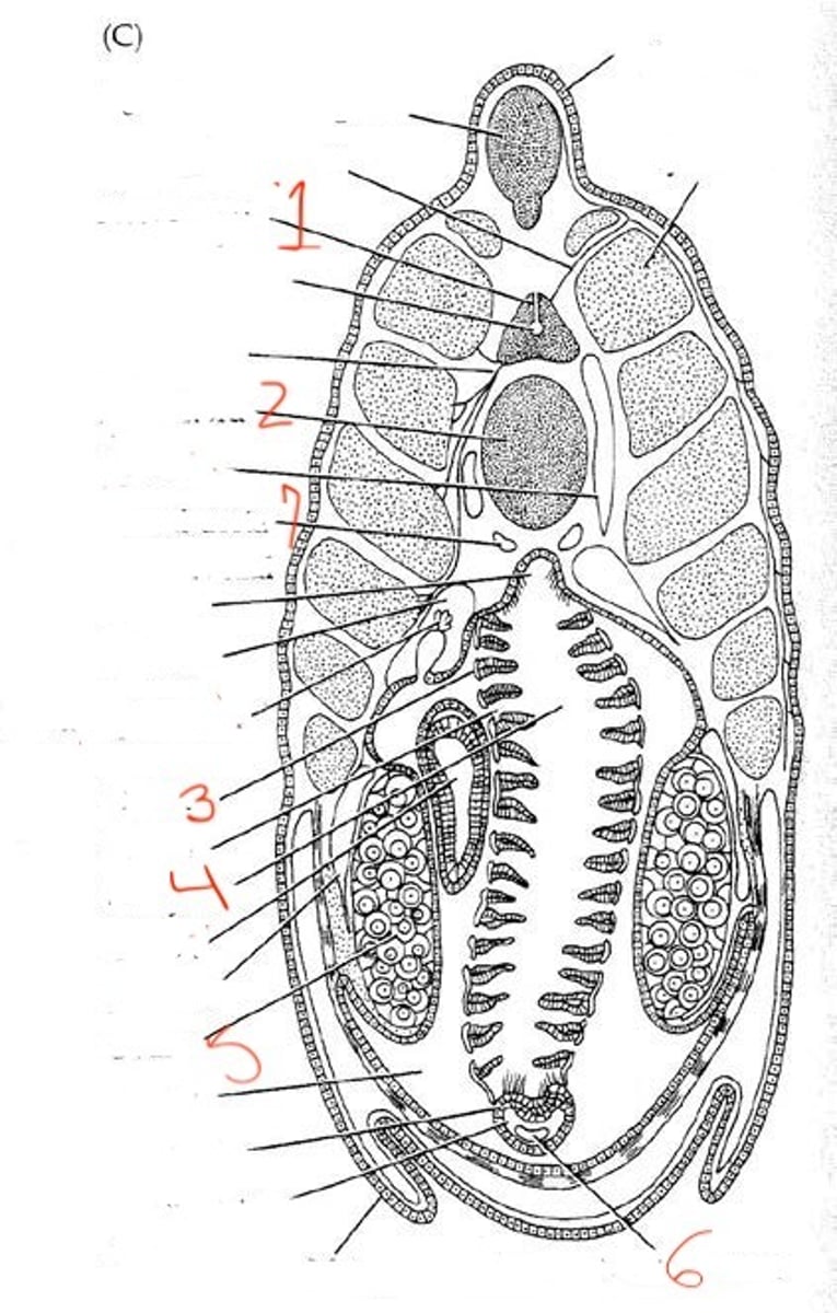 <p>what is 3?</p>