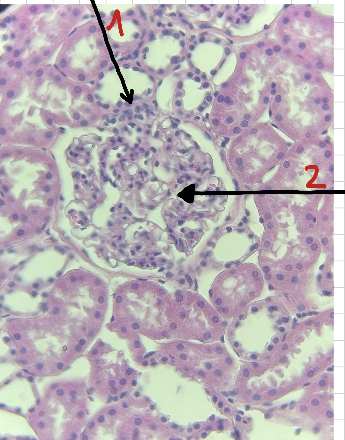 <p>1</p>