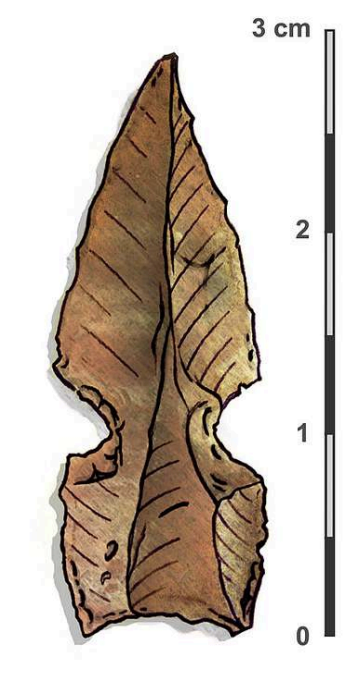 <p>(env. 9500 – 8500 av. J.-C.)</p><ul><li><p><strong>Révolution matérielle et mentale</strong> : apparition de nouveaux outils, de nouvelles pratiques sociales, de nouvelles formes architecturales.</p></li></ul><ul><li><p><strong>Flèches du Khiamien</strong> : pointes retrouvées sur plusieurs sites en Palestine, témoignage d’une <u>innovation technique et symbolique.</u></p></li></ul><p>agriculture pre-domistique : les hommes commencent à sélectionner certaines plantes, mais sans maîtrise totale.</p><ul><li><p><strong>villages organises</strong></p></li><li><p><strong>registre symbolique</strong> - représentations humaines et animaux stylisés, liés probablement à des croyances ou à une organisation spirituelle.</p></li></ul><ul><li><p><strong>Nouveaux outils</strong> : apparition de systèmes de <u>débitage</u> (раскалывание камня) plus efficaces, multiplication des outils de <u>broyage</u> (измельчение/дробление) → preuve d’un meilleur traitement des matières végétales (grains, tubercules).</p></li><li><p><strong>Architecture</strong> : construction de bâtiments <u>communautaires ou religieux</u>, notamment sur les sites d’Anatolie et du sud de la Turquie (ex. Göbekli Tepe). Ces bâtiments collectifs sont déjà porteurs de <u>fonctions sociales et symboliques.</u></p></li></ul><p><strong>domestication du chien et chat </strong>- <u>chien</u> - domestication ancienne, sans doute universelle, issue du rapprochement avec les groupes humains (commensalisme → partage des restes alimentaires).</p><p><u>chat</u> : suit le développement de l’agriculture (stockage des céréales → apparition de rongeurs → “domestication” spontanée du chat).</p><p>Mureybet (Syrie), Göbekli Tepe (Turquie actuelle)</p>