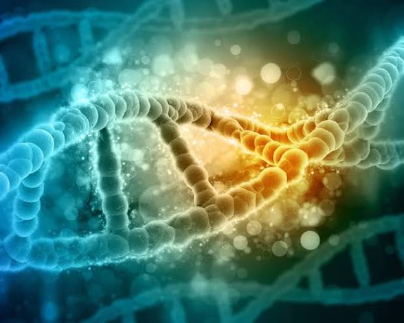 <p>biology (n)</p>