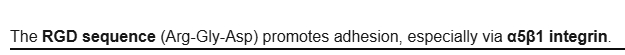 <p><strong>RGD sequence</strong> (Arg-Gly-Asp) </p>