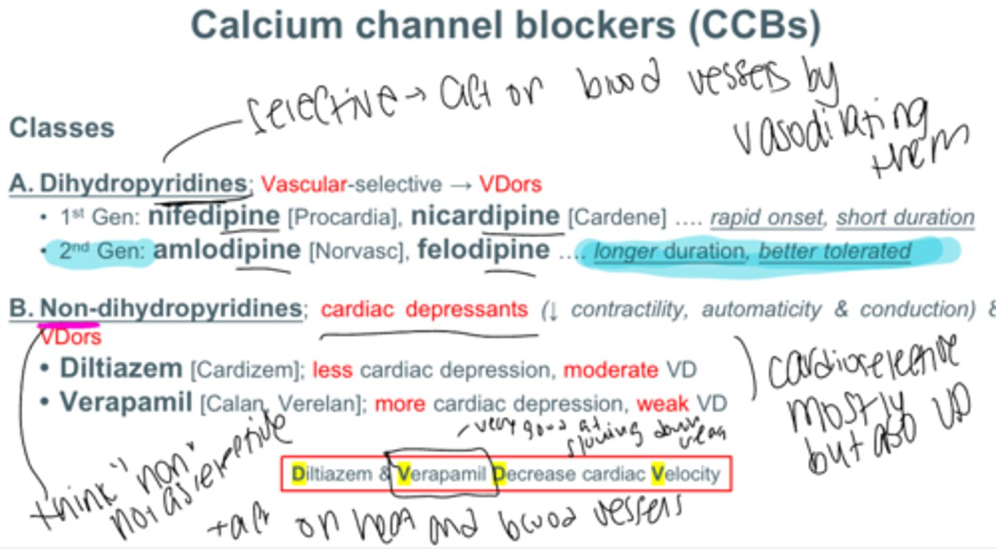 <p>dihydropyridines (a type of calcium channel blockers)</p><p>cram the pance mneumonic for ca channel blockers- cut down ZEM PINES and put zem in the MILL</p><p>so ca channel blockers end in</p><p>ZEM (diltiazem)</p><p>PINE (ex: amlodipine)</p><p>MIL (verapamil)</p><p>there are 2 types of calcium channel blockers</p><p>we have dihydropyridines (our PINES)</p><p>and our non dihydropyridines (NON PINES)- verapamil, diltiazem</p>