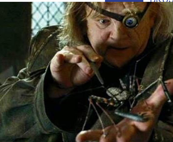 <p>Klasse Arachnida (spinachtigen) orde?</p>