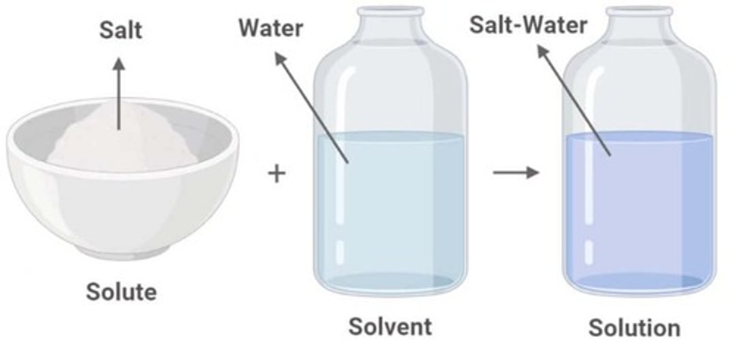 <p>Water dissolves many substances, allowing for metabolism and transport in organisms.</p>