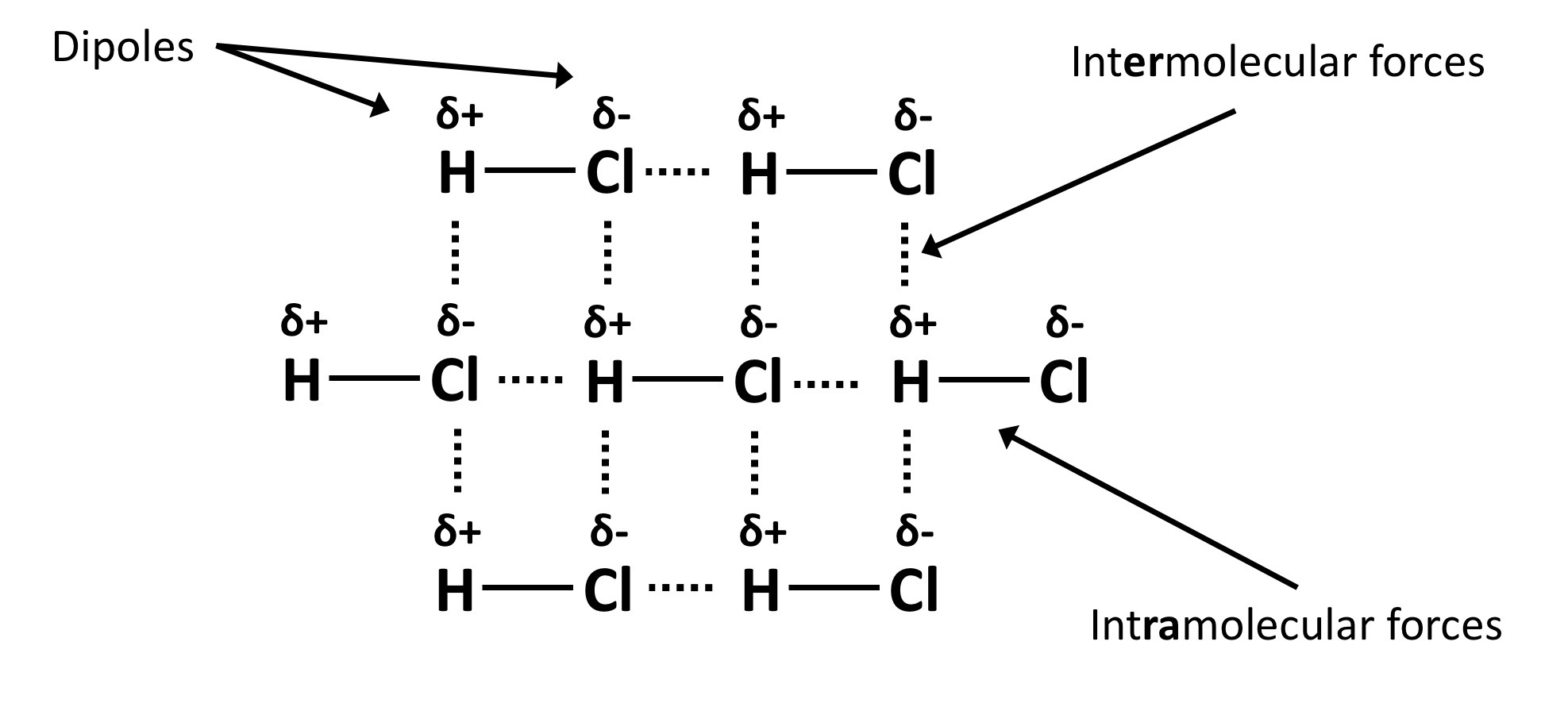 <ul><li><p>molecules with two charged ends (poles) = polar molecules or dipoles (two poles)</p></li><li><p>Di[oles arrange +ve to -ve charge → intermolecular attraction </p></li></ul><p></p>