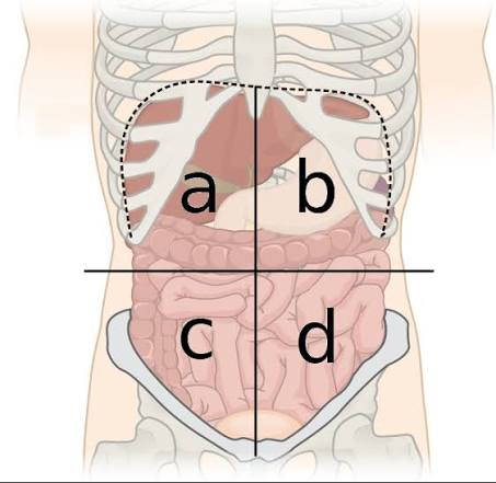 <p>What is Quadrant C?</p>