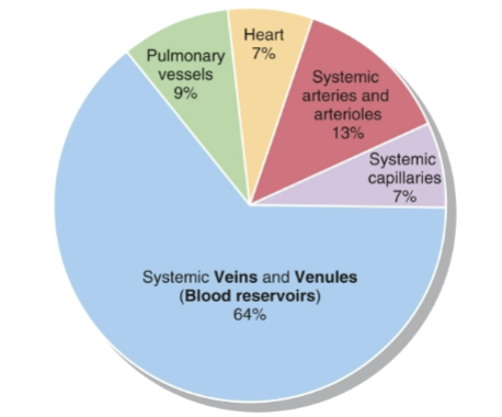 <p>Blood distribution</p>