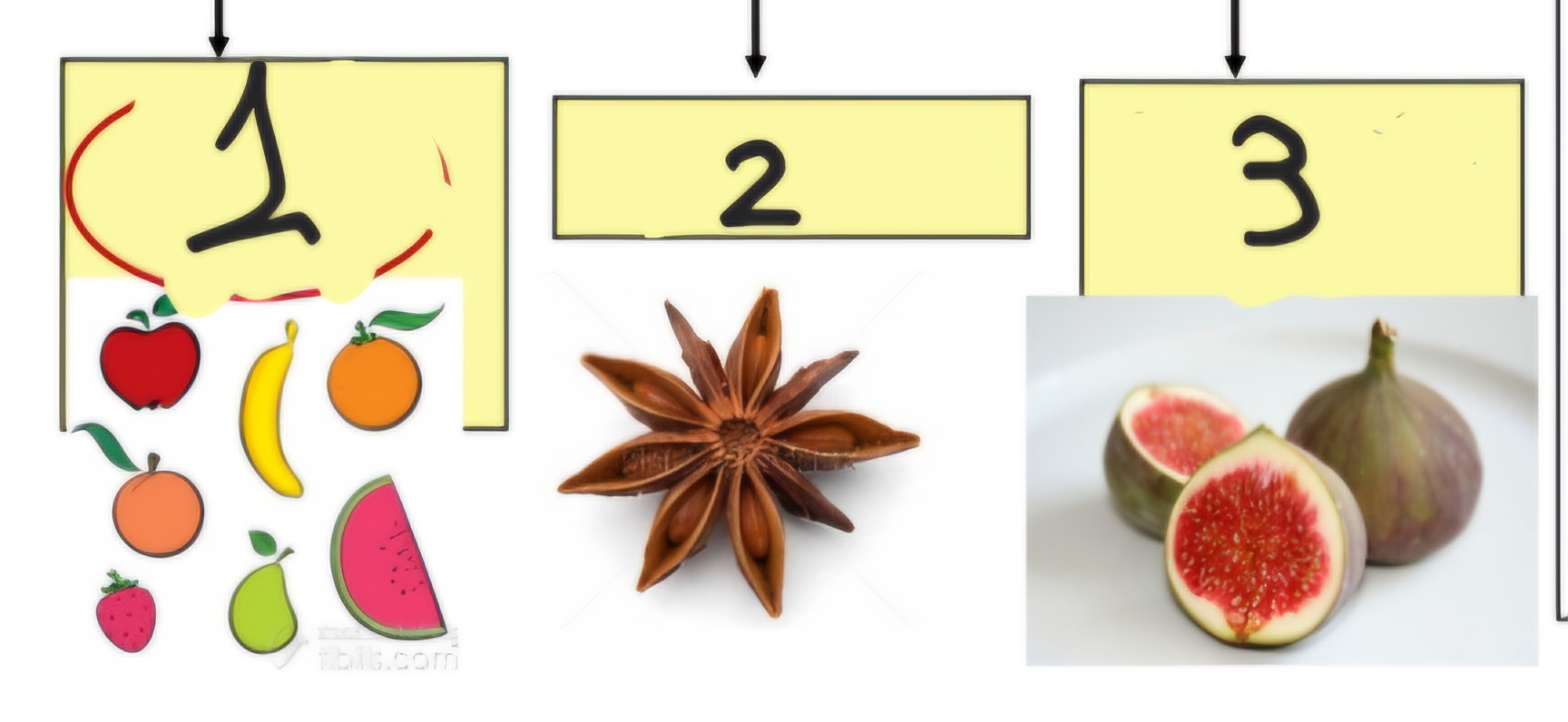 <p>Name each of the following types of fruits</p>