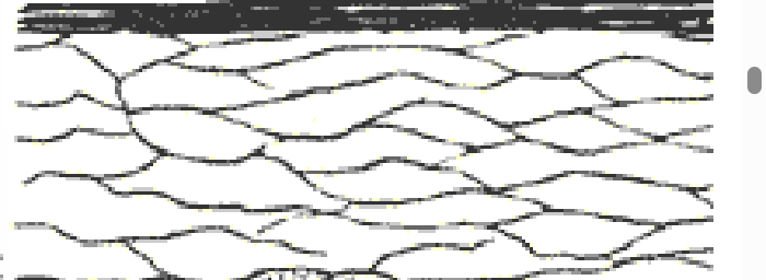 <p>Stratum Corneum</p>