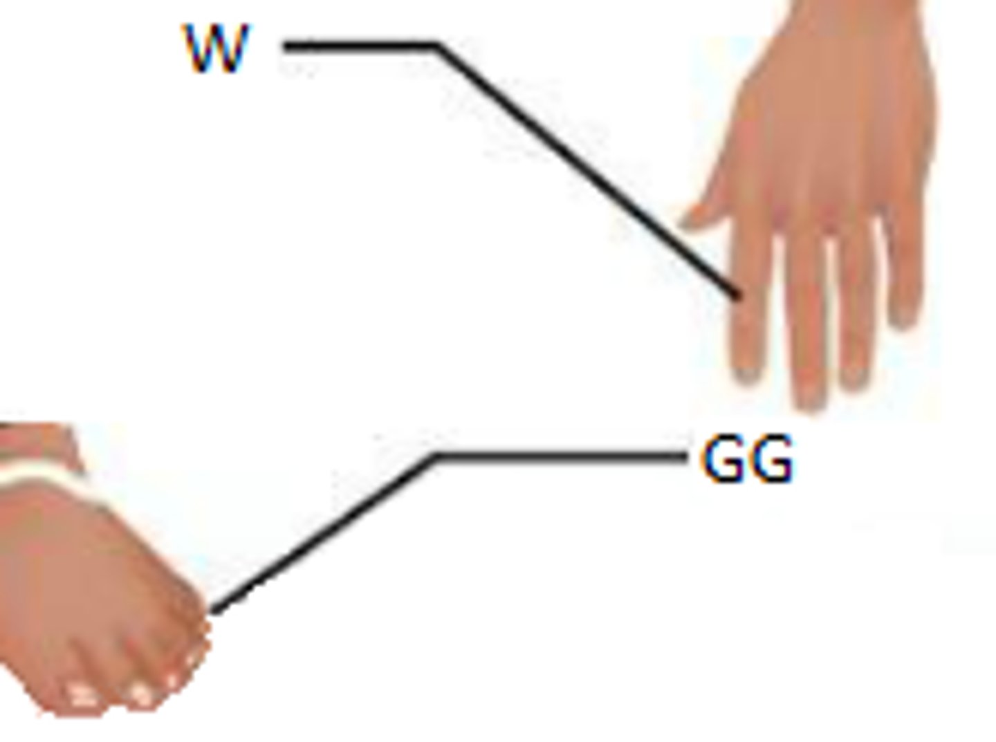 <p>Finger or toe</p>