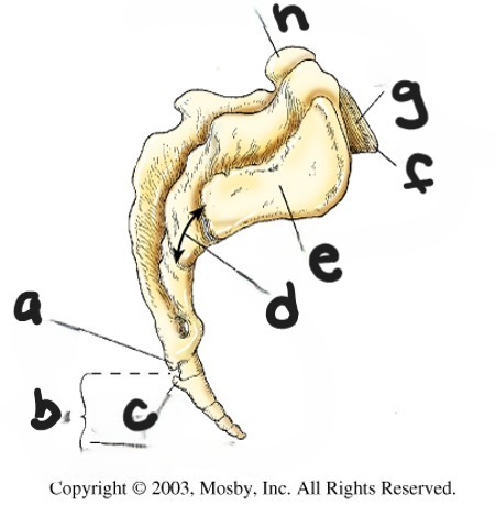 <p>what is f?</p>