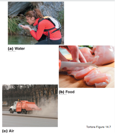<p>The three ‘<strong>bornes</strong>’</p><ol><li><p><strong>Waterborne</strong></p></li><li><p><strong>Foodborne</strong></p></li><li><p><strong>Airborne</strong></p></li></ol><p></p>