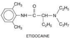 <p>Ester or Amide?</p>