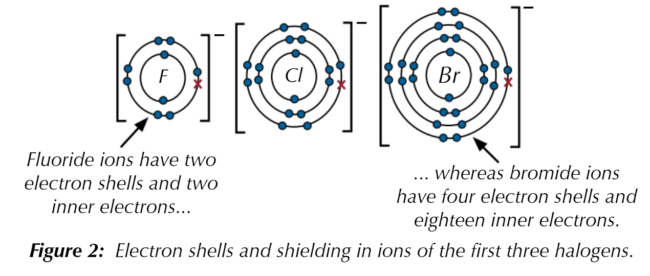 <p><strong>Increases:</strong></p><ul><li><p>as you go down group 7, the attraction gets weaker as the ions get bigger, so the electrons are further away from the positive nucleus</p></li><li><p>there are extra inner electron shells too, so there’s a greater shielding effect</p></li></ul><p></p>