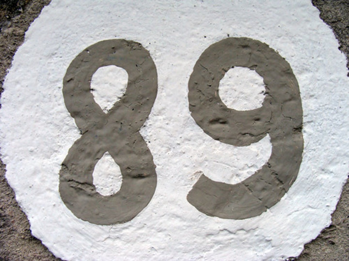 <p>89</p>