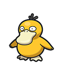 <p>Psykokwak</p>