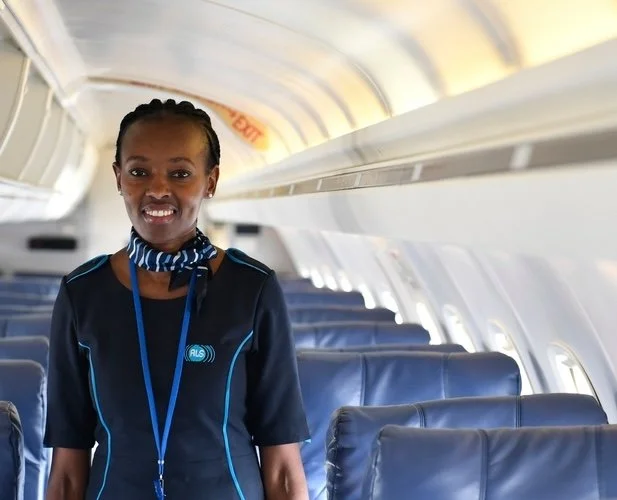 <p>El auxiliar de vuelo</p><p>La auxiliar de vuelo es muy amable.</p>