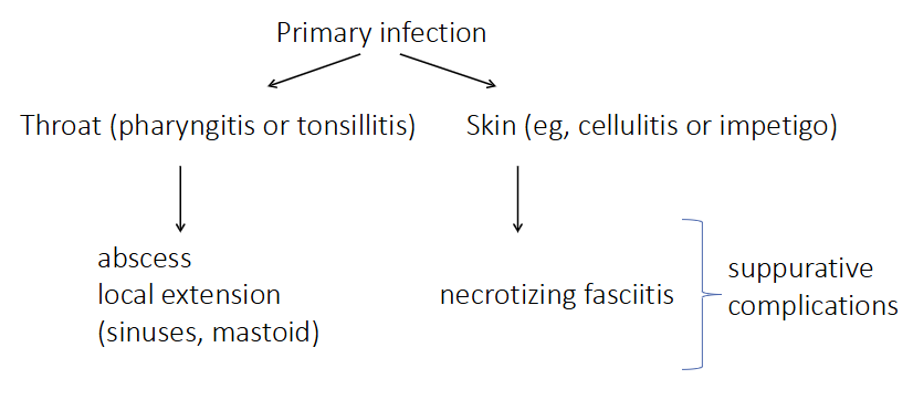 <p>Lancefield group A Beta-Haemolytic Streptococcus (Streptococcus pyogenes)</p>