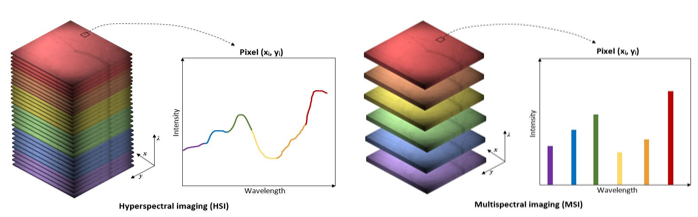 <ol><li><p>multiple images are acquired using different continuous wavelengths of light across the whole electromagnetic spectrum </p></li><li><p>captures the difference in chromophore light absorption at that wavelength </p></li><li><p>assembles data into a 3D <strong>hypercube → x,y axis denotes positional information + z axis denotes wavelength absorption spectrum </strong></p></li></ol><p></p>
