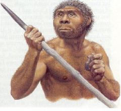 <p>Tall, strong hominin, first out of Africa, first to tame fire and use huts for shelter.</p>