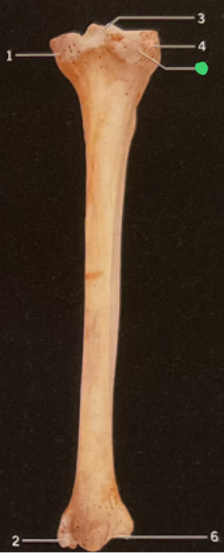 <p>1</p>