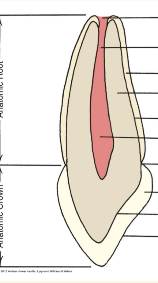 <p>label all the markings on the right</p>