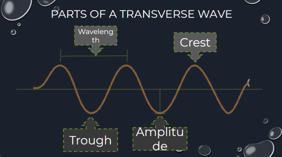 <p>Wavelength, crest, trough, amplitude </p>