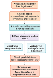 <p>Een ernstige zeldzame aandoening die wordt veroorzaakt door sepsis bij een bacteriële infectie, meestal door de meningokokkenbacterie.</p><p>Het is eigenlijk een gevolgd van DIS die optreed bij een meningokokkensepsis. Door de microtrombi en de bloedingen die optreden ontstaan er bloedingen in de bijnieren waardoor deze beschadigd raken en er acute bijnierschorsinsufficiëntie optreed. Er ontstaat uiteindelijk acuut bijnierfalen met diepe shock als gevolg.</p><p>De sepsis (oorzaak) wordt behandeld met antibiotica. Omwille van de beschadiging van de bijnieren moeten er ook corticoïden (prednislon) en mineralcorticoïden (aldosteron) gegeven worden.</p><p>Mineralcorticoïden → Wordt geproduceerd door de buitenste laag van het bijnierschors. Hebben invloed op de mineraalhuishouding (95% aldosteron). Het reguleert op indirecte wijze de RR door de nieren aan te zetten tot vasthouden van water door middel van balans tussen natrium en kalium.</p>