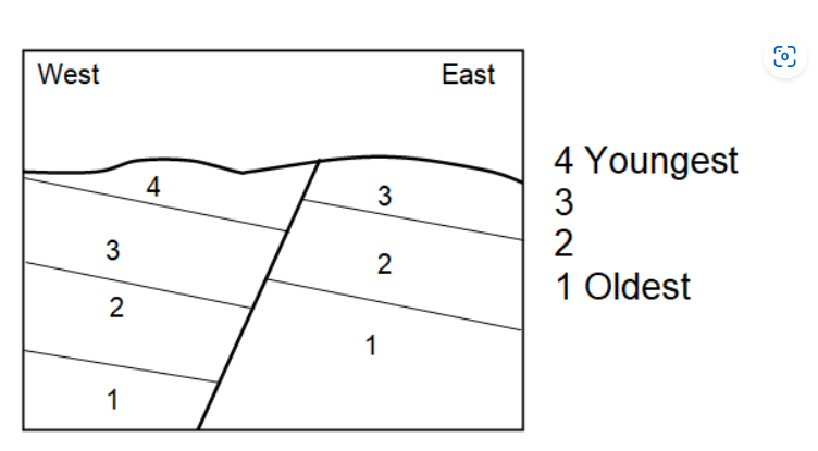 <p>Above is a cross section of a fault (diagonal line in the middle). 1-4 are rock layers. Based on what you learned in my lecture about normal faults and reverse faults, what kind of force is being exerted on these rocks to create the fault?</p>