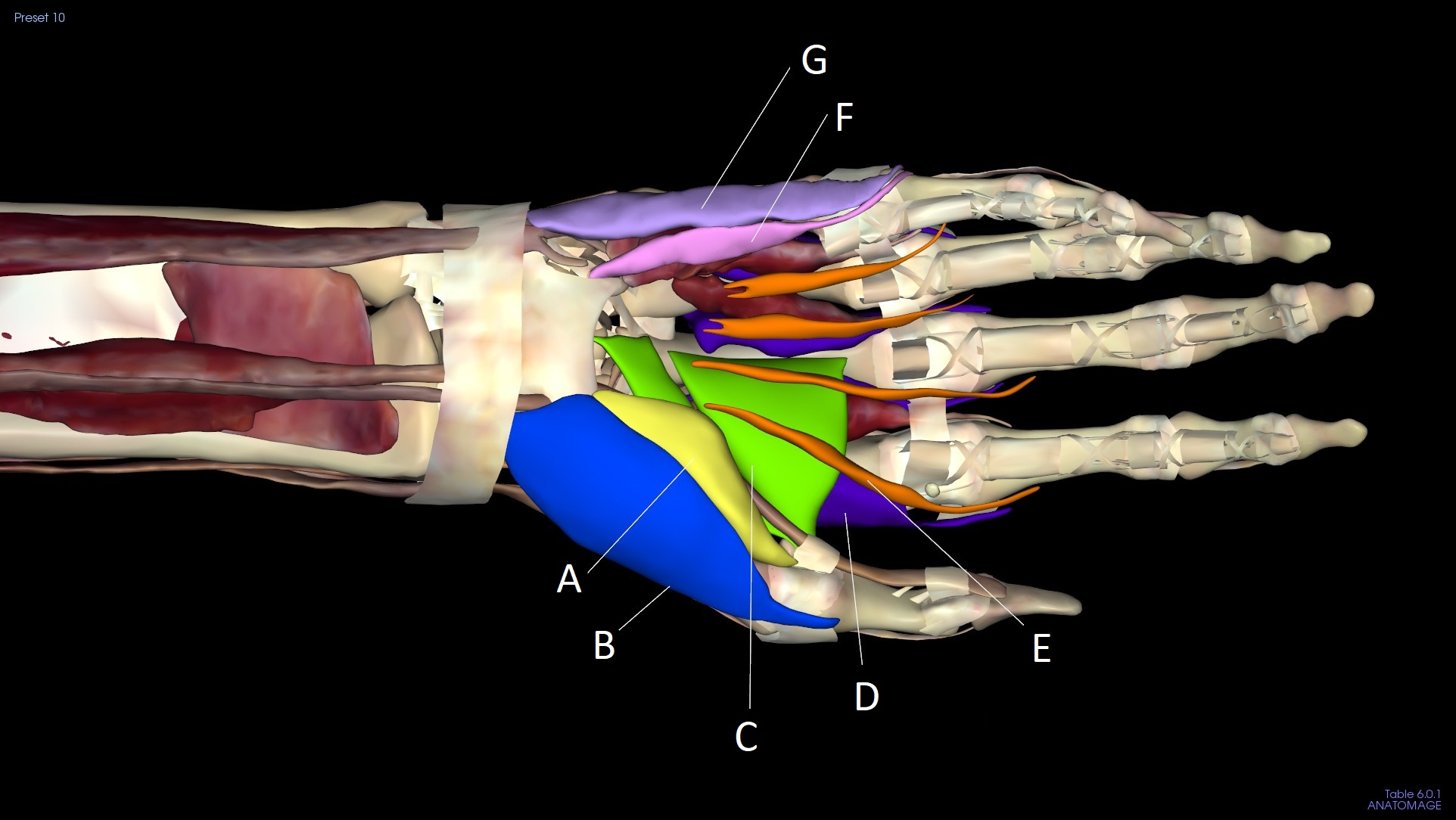 <p>C</p>