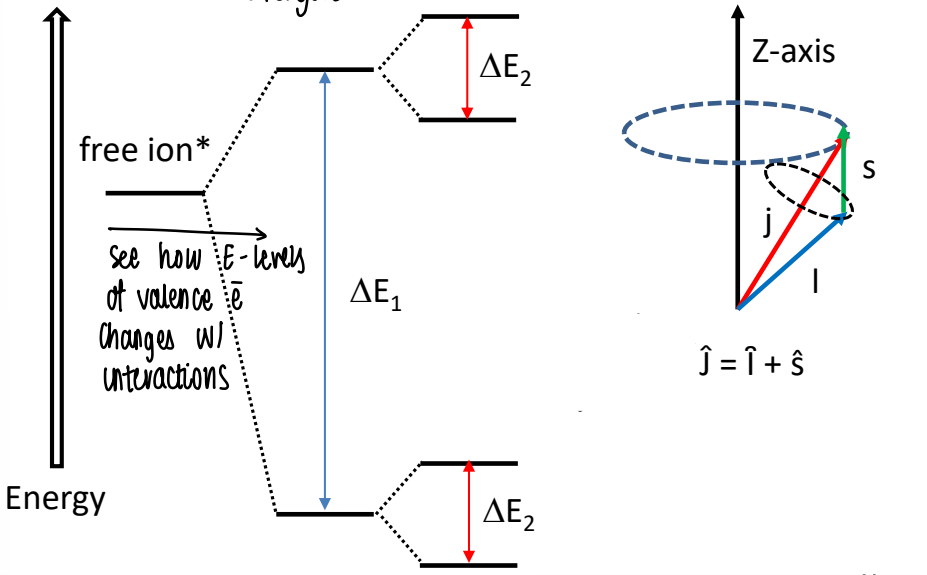 <p>The energy levels of the valence f electrons are split due to different interactions. </p><ul><li><p>A large splitting is caused by electron-electron repulsion and effects of the ligand field. </p></li><li><p>A smaller splitting is caused by spin-orbit coupling</p></li></ul><p></p>