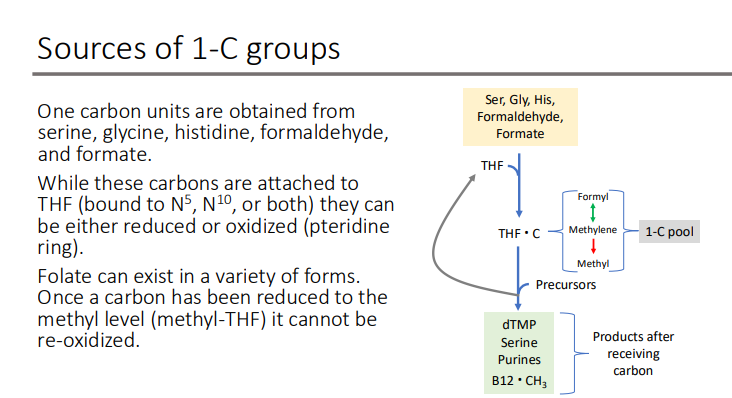 <p>methyl; re-oxidized </p>