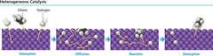 <p>Catalyst and reactants are in different phases. </p><p>Interacts with reactants to form a more stable activated complex. </p><p>Provides a pathway with lower activation energy.</p>