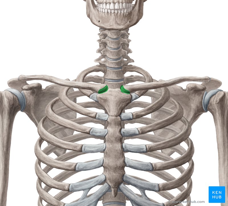 <p>Name the specific part of the bone</p>