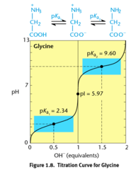 <p>2.34; corresponds to deprotonation of the α-carboxyl group.</p>