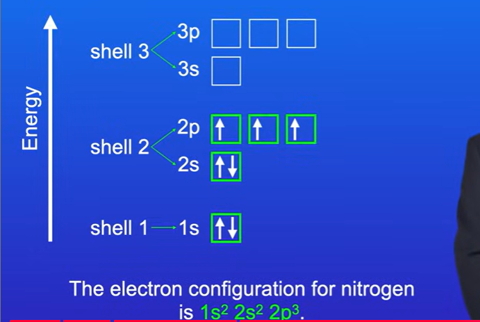 <p>The first 2 electrons go into 1s subshell, The next 2 electrons go into the 2s subshells.</p><p>All of the p orbitals in the 2p subshell have the same energy . So each electron goes into individual orbitals in the 2p subshell. Electron configuration for nitrogen is 1s² 2s² 2p³</p>